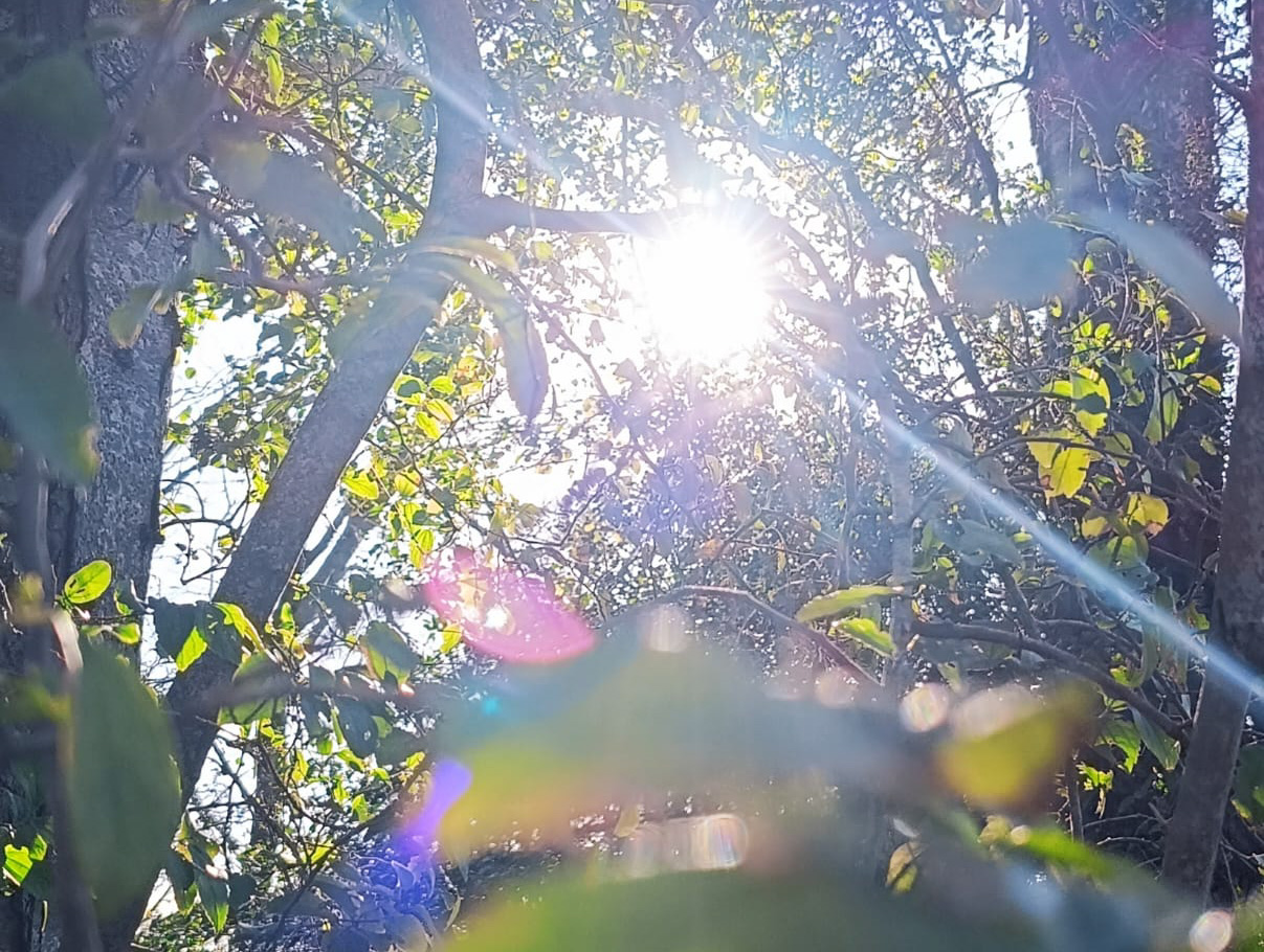 Imagen para los medios: Acuerdo intergeneracional