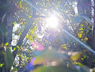 Acuerdo intergeneracional