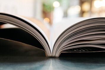 bernicestockstill-lifeofpix-ber